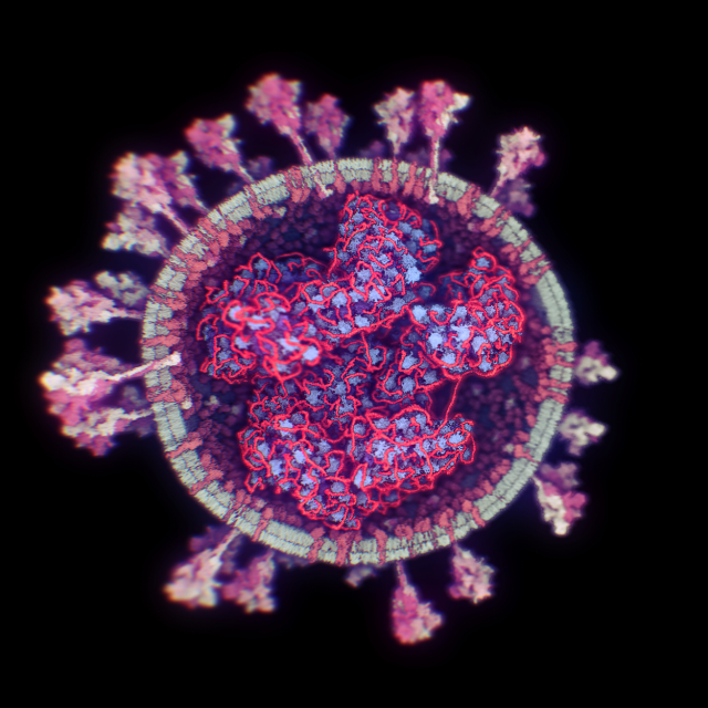 Do brže analize podataka: Beèki nauènici omoguæili 3D prikaz koronavirusa FOTO/VIDEO